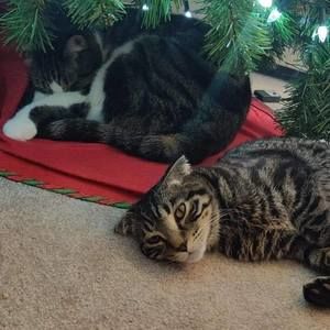 Meet your Posher, Jo